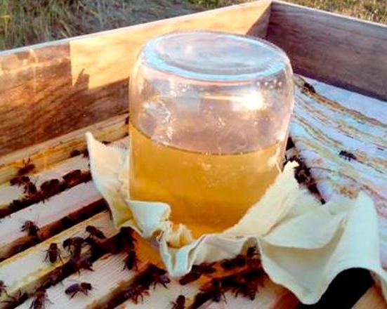 Подборка современного инструментария для работы на пасеке и кормушек для подкормки пчёл