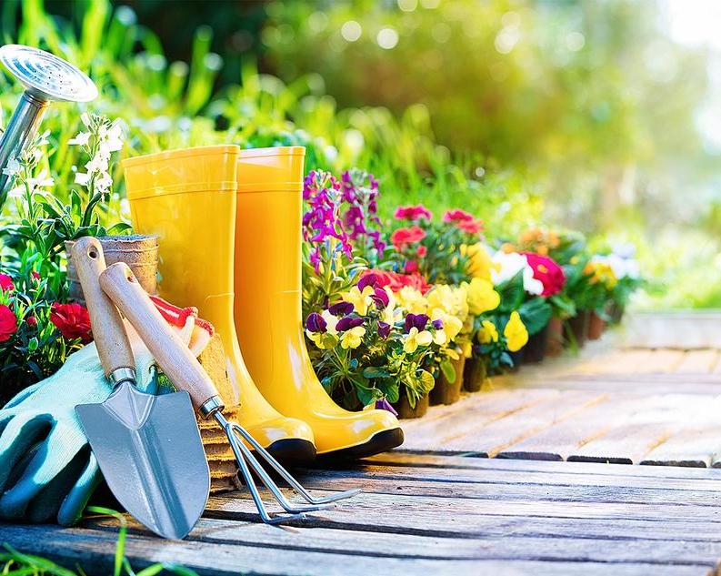 Популярные товары и инструменты для дачи с AliExpress