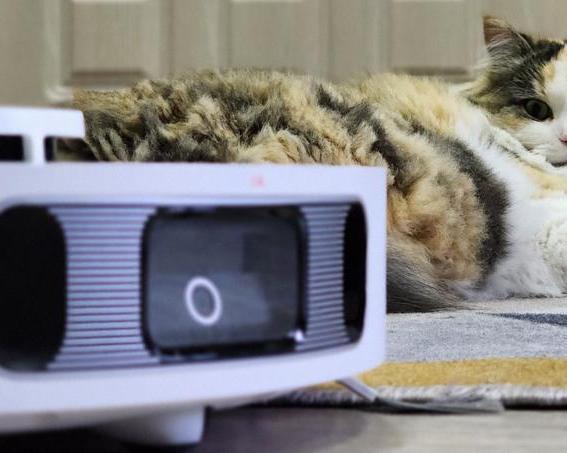 Подборка роботов с интеллектуальным обходом препятствий и детектированием ковров